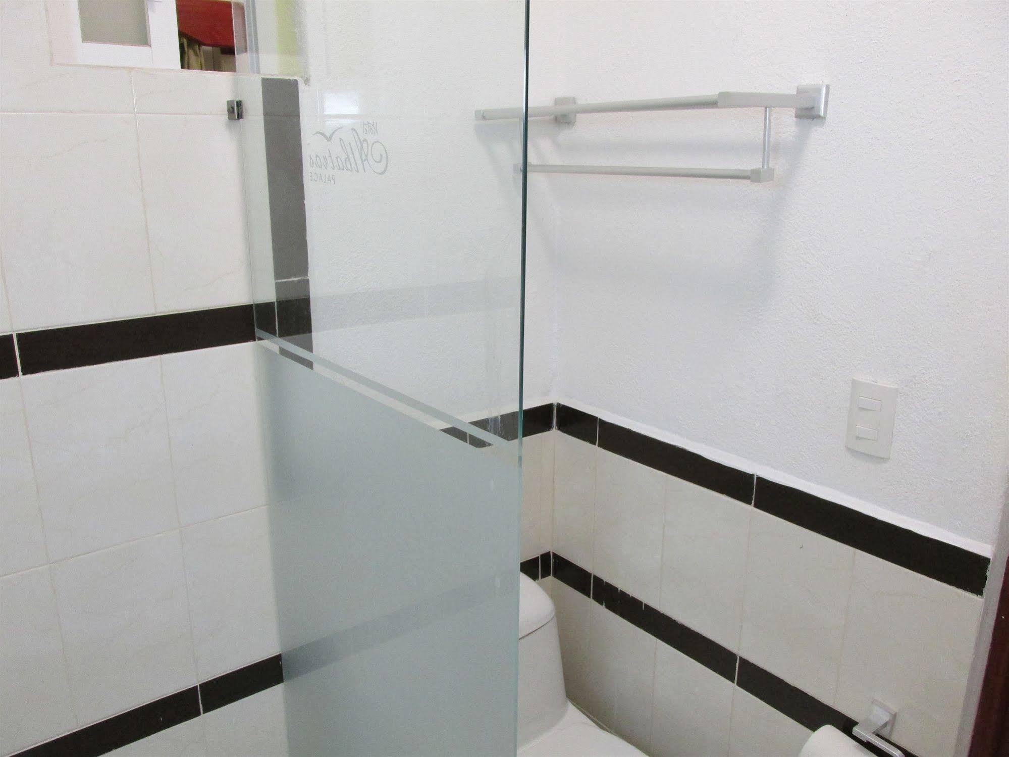 Hotel Albatros Palace Manzanillo Extérieur photo
